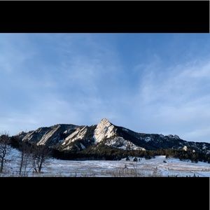 Meet your Posher, Will